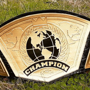 Ceinture de championnat de lutte personnalisée professionnelle, design léger en métal, couleur et taille personnalisées, nom et logo personnalisés, marque personnalisée - Product Image 1