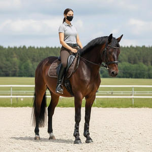 Pantalones de Montar a Caballo Personalizados de Alta Calidad para Hombre, Leggings de Equitación, Mallas, Ropa Masculina Sostenible - Product Image 2