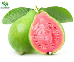 Cubes organiques IQF du Vietnam goyave rose congelée eau entière en vrac préservée exportation emballage sous vide modèles en tranches - Product Image 1