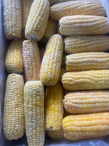 Maíz congelado a granel de Vietnam disponible al por mayor con color de tamaño consistente y dulzura natural - Product Image 5