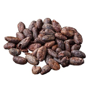 เมล็ดโกโก้เวียดนามคุณภาพสูง 100% จากธรรมชาติ - Product Image 4