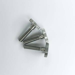 Tornillos de Cabeza Moleteada DIN 465 M3~M10 SS304/SS316, Tornillos de Cabeza de Botón, para Paneles de Carcasas de Ordenador, Buen Precio, OEM/ODM - Product Image 3