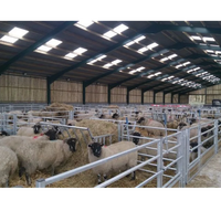 Bâtiment d'élevage de chèvres préfabriqué à faible coût en acier, anti-corrosion, pour moutons et bétail