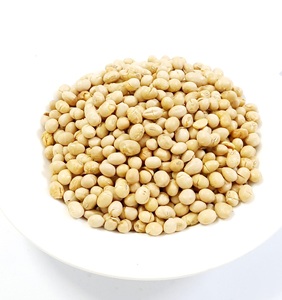 Germination et graines de soja jaune sec de qualité alimentaire soja jaune séché à haute teneur en protéines pour l'alimentation humaine - Product Image 5