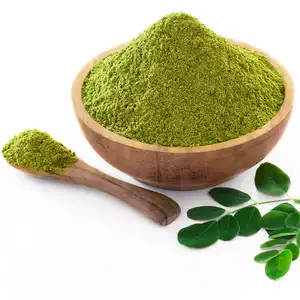 Kualitas tinggi ekstrak daun kelor massal bubuk daun kelor kering alami dengan harga grosir dari pemasok India