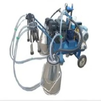 Fraiseuse électrique de petite taille, appareil robuste avec seau de chariot facile à monter et à prix bas