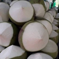 Verse jonge Thaise kokosvlees-sap – zoet en hydraterend voor smoothies, culinaire toepassing of rechtstreeks uit de bron consumptie.
