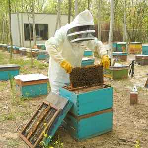Fournitures d'usine costumes d'apiculture hommes vêtements à manches longues costumes d'apiculture de travail costumes d'apiculture - Product Image 3