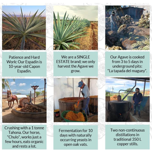 Pallet Mezcal Descartes 100% Agave Espadín Joven Artigianale Distillato 45% ABV 750ml Bottiglia di Grado Eccellente Oaxaca Messico - Product Image 5