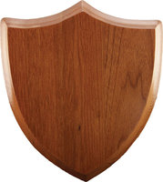 Plaque murale en métal personnalisée en gros, trophée en bois gravé imprimé, médaille, assurance, souvenir personnalisé, récompense