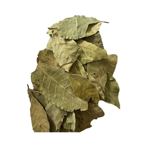 Laura Qualité supérieure Feuille de laurier unique Cuisson sèche des aliments Offre Spéciale épices et herbes crues Processus de séchage AD - Product Image 1