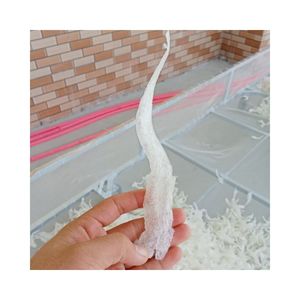 Grado-A Pescado seco Maw Bolsa a granel Embalaje Mariscos esenciales para nutrir platos sabrosos Rico en vitaminas Característica natural - Product Image 4