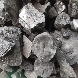 Biwood ผงถ่านมะขามเปียก - Product Image 1