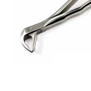 Forceps d'extraction dentaire de qualité supérieure pour adultes, instruments chirurgicaux, forceps d'extraction dentaire en acier inoxydable - Product Image 2