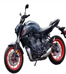 มอเตอร์ไซค์วิบาก Sharp Deal High Performance 100% MT-10 Superbike Enduro พร้อมขาย - Product Image 1