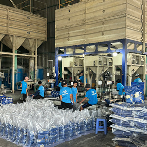 Japonica vietnamien jasmin riz long grain Style frais importation de Jersey OO84825431311 pour l'Europe - Product Image 4