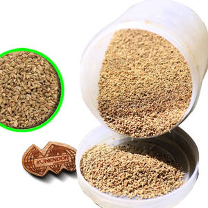 Carambole (Ajwain) | Eco-emballé | frais des champs - Product Image 3