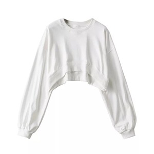 Vente en gros OEM pull uni col rond brodé sur mesure sweat à capuche col rond pour les femmes - Product Image 1