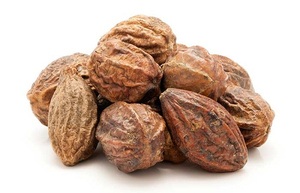 Poudre d'extrait de Triphala de haute qualité 30% approvisionnement en vrac pour l'industrie alimentaire et des boissons meilleur prix d'usine en gros - Product Image 5