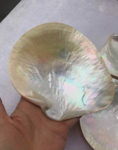 Plat de service et assiette en nacre de haute qualité, biodégradable, écologique, décoration côtière, vaisselle de luxe pour restaurant - Product Image 6