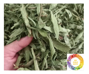 Hoja de Stevia seca de alta calidad de Vietnam, hoja de Stevia seca natural a granel para extractos de té, edulcorante para hornear, oferta al por mayor - Product Image 6