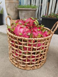 Panier de rangement classique en rotin naturel, jacinthe d'eau et jonc de mer, fait à la main, écologique, solution d'organisation multifonctionnelle pour le nouveau - Product Image 3