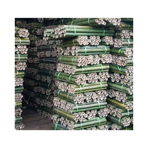 Nature Dry Straight <b>Rattan</b> Bamboo Pole Polished <b>Rattan</b> Manau Cane Poles Weave Cane Webbing Premium Quality - Product Image 1