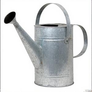 Regadera galvanizada atemporal con revestimiento resistente a la intemperie y Caño estrecho para un vertido de precisión - Product Image 2