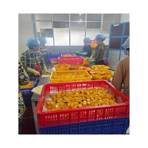 Được mong muốn nhất 2025 xoà<span class=keywords><strong>i</strong></span> chín đông lạnh, sử dụng trong sữa chua và bánh ngọt, một nguồn năng lượng tuyệt vờ<span class=keywords><strong>i</strong></span> và một món ăn nhiệt đớ<span class=keywords><strong>i</strong></span> không thể cưỡng lạ<span class=keywords><strong>i</strong></span> - Product Image 2