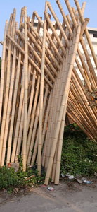 Bambú de Vietnam Respetuoso con el medio ambiente Arquitectura de paisaje natural al aire libre Bao Tram Anh Proveedor de agricultura Premium - Product Image 5
