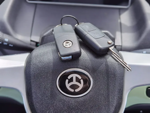 รถสามล้อไฟฟ้า ปี 2025 รุ่น L6e สองที่นั่ง ได้รับมาตรฐาน EEC รถสามล้อ 1500 วัตต์ ความเร็ว 45 กม./ชม. พร้อมห้องโดยสาร - Product Image 4