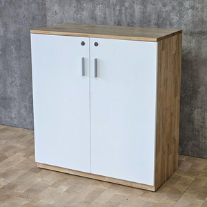 Two-Tier Minimalist Metal <b>Storage</b> <b>Cabinet</b> 80x40x87cm THS68023 Rubber Wood Filing <b>Cabinet</b> Hinged Doors <b>Lockable</b> for Workshops - Product Image 5