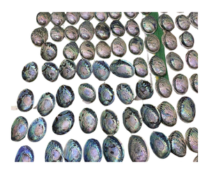 เปลือกหอยเป๋าฮื้อหลากสีเปลือกหอยทะเลสำหรับทำเครื่องประดับ DIY - Product Image 1