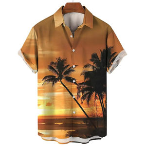 Chemise pour hommes t-shirts de plage décontracté respirant à manches courtes chemises boutonnées 3D imprimé vêtements pour hommes vacances d'été - Product Image 4