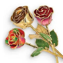 Lujo 24K oro sumergido Real conservado rosa roja tallo largo hecho a mano flor eterna perfecto regalo de aniversario del Día de San Valentín - Product Image 4
