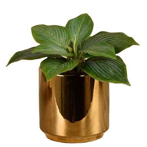 Macetas y macetas de metal hechas a mano con diseño personalizado con acabado dorado brillante Vintage para uso en el jardín doméstico al aire libre - Product Image 1