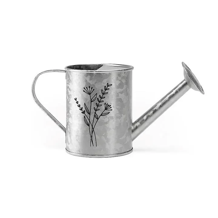 Superior Quality Wholesale price Barnyard Designs Galvanized Metal Small Watering Can For Home Hotel Indoor Outdoor Plants Usage