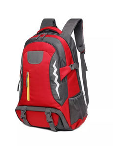 Sac à dos de gymnastique décontracté avec logo personnalisé en gros Sac de voyage de sport imperméable léger et durable avec doublure en coton grande capacité - Product Image 4