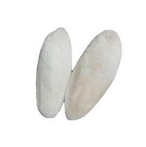 Señuelo de pesca seco de primera calidad en venta - Product Image 1