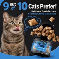Friandises à Mâcher Savoureuses pour Chats : Soutien Santé Urinaire (Vessie et Reins) à la Canneberge – Complément Nutritionnel pour le Soin Urinaire des Chats