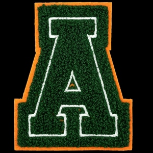 3D Handmade Embroidered Green <b>Letters</b> Patches Computerized Embroidery Technique for Clothes DecorativePatch <b>Stickers</b> Fabric - Product Image 4