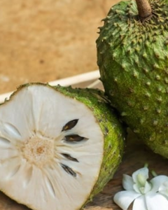 Proveedor de Fruta Panificada Congelada de Vietnam, Precio de Exportación al Por Mayor - Product Image 5