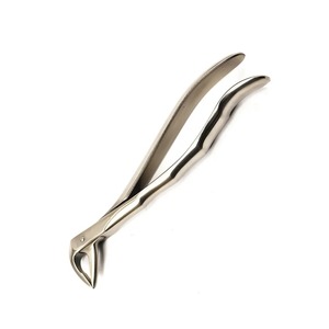 Instrumentos de Extracción Quirúrgica de Acero Inoxidable al por Mayor, Fórceps Dentales Manuales, Clase II, Certificación CE - Product Image 4