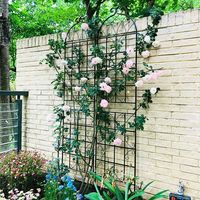 Trellis Taman Modern Besi Hitam Hias Ramah Lingkungan Berlapis Bubuk Desain Floral Penyangga Tanaman Rambat Luar Ruangan Dapat Disesuaikan