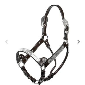 Nueva y Elegante Brida de Cuero Plateado para Caballo, Cómoda, Moderna y de Alta Calidad, en Varios Colores - Product Image 1