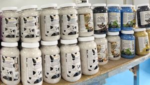 Sels naturels <span class=keywords><strong>de</strong></span> <span class=keywords><strong>la</strong></span> <span class=keywords><strong>Mer</strong></span> <span class=keywords><strong>Morte</strong></span> avec fleurs <span class=keywords><strong>de</strong></span> rose, cristaux <span class=keywords><strong>de</strong></span> soin pour <span class=keywords><strong>la</strong></span> peau, <span class=keywords><strong>sel</strong></span> <span class=keywords><strong>de</strong></span> bain <span class=keywords><strong>Epsom</strong></span>, gommage pour le corps et les pieds, SPA, en stock - Product Image 6