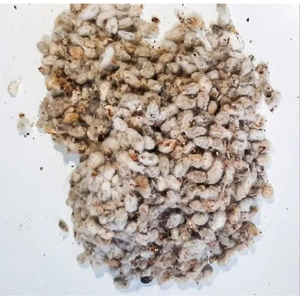 Vente chaude de graines de coton biologique au prix de gros de produits agricoles - Product Image 1