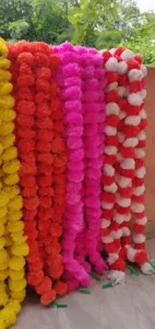 印度婚礼装饰创意派对背景排灯节装饰花线万寿菊线蓝绿色粉色万寿菊线