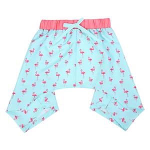 2025 mode confortable imperméable lavable couches chien hygiène femme chien Shorts - Product Image 4