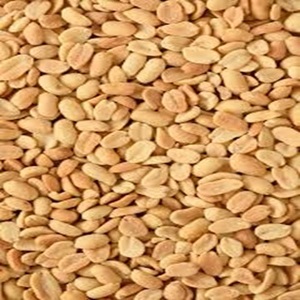 Cacahuetes Tostados Naturales Crudos de Grado Alimenticio a la Venta a Precio de Mayoreo - Product Image 2